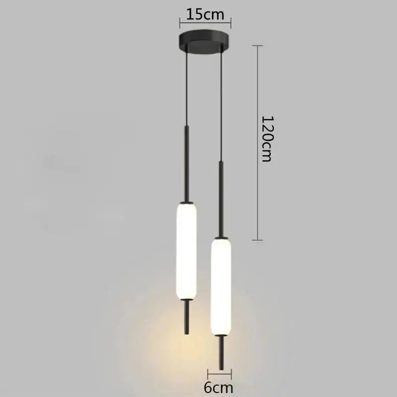 Double Lampe Nordique suspendue.