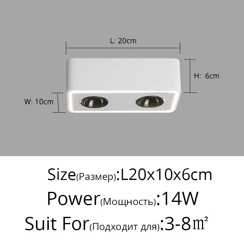 Spots à LED Ajustable.