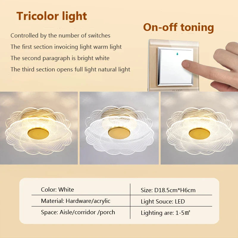 plafonnier led moderne en acrylique design pour intérieur décoratif.