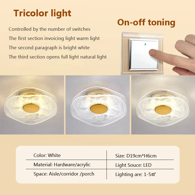 plafonnier led moderne en acrylique design pour intérieur décoratif.