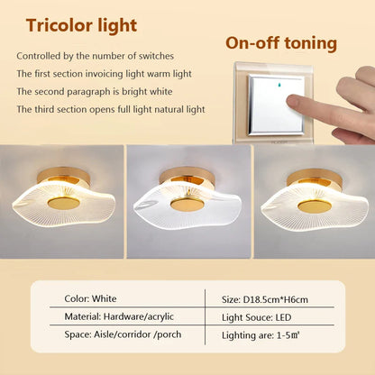 plafonnier led moderne en acrylique design pour intérieur décoratif.