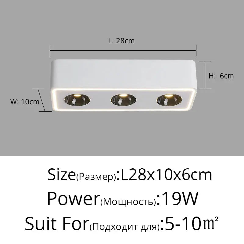 Spots à LED Ajustable.