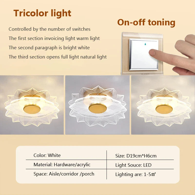 plafonnier led moderne en acrylique design pour intérieur décoratif.