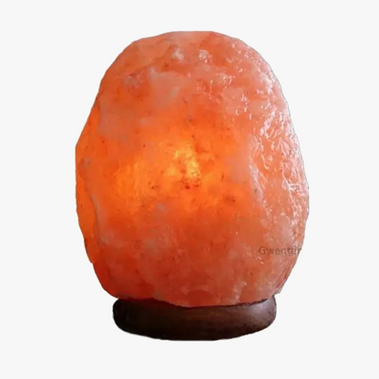 lampe de sel en cristal de l'himalaya avec veilleuse led et base en bois.